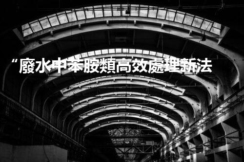 “廢水中苯胺類高效處理新法，環(huán)保先鋒引領(lǐng)綠色以后”